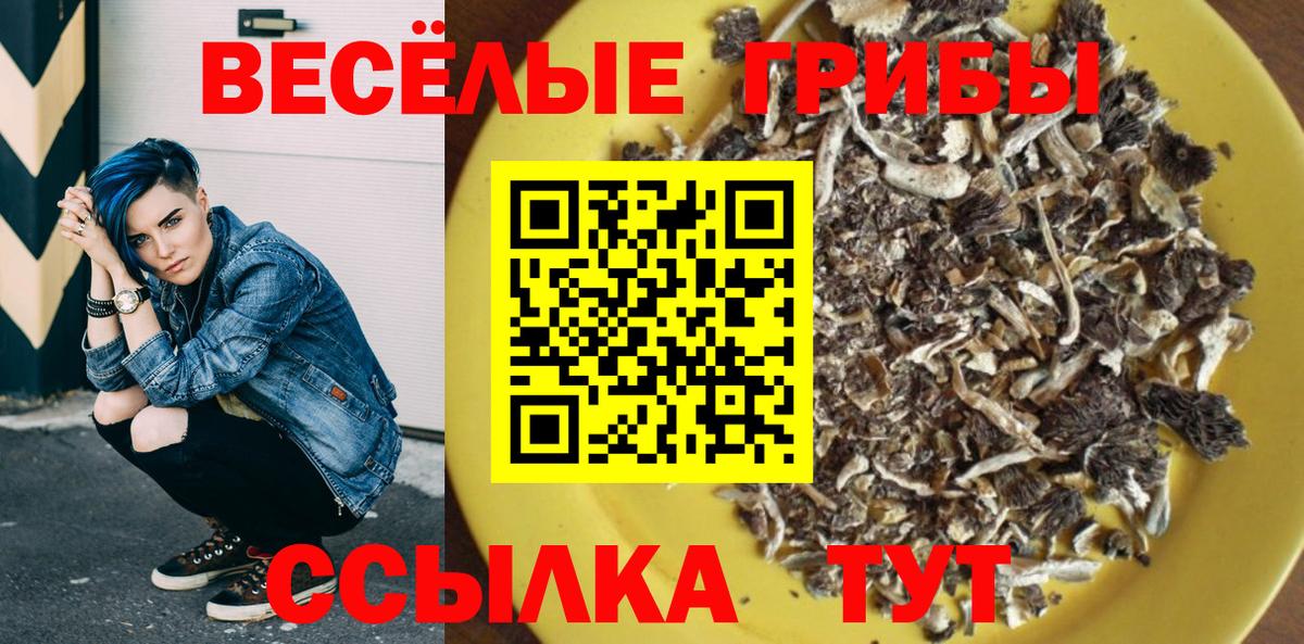 Псилоцибиновые грибы мицелий Калуга